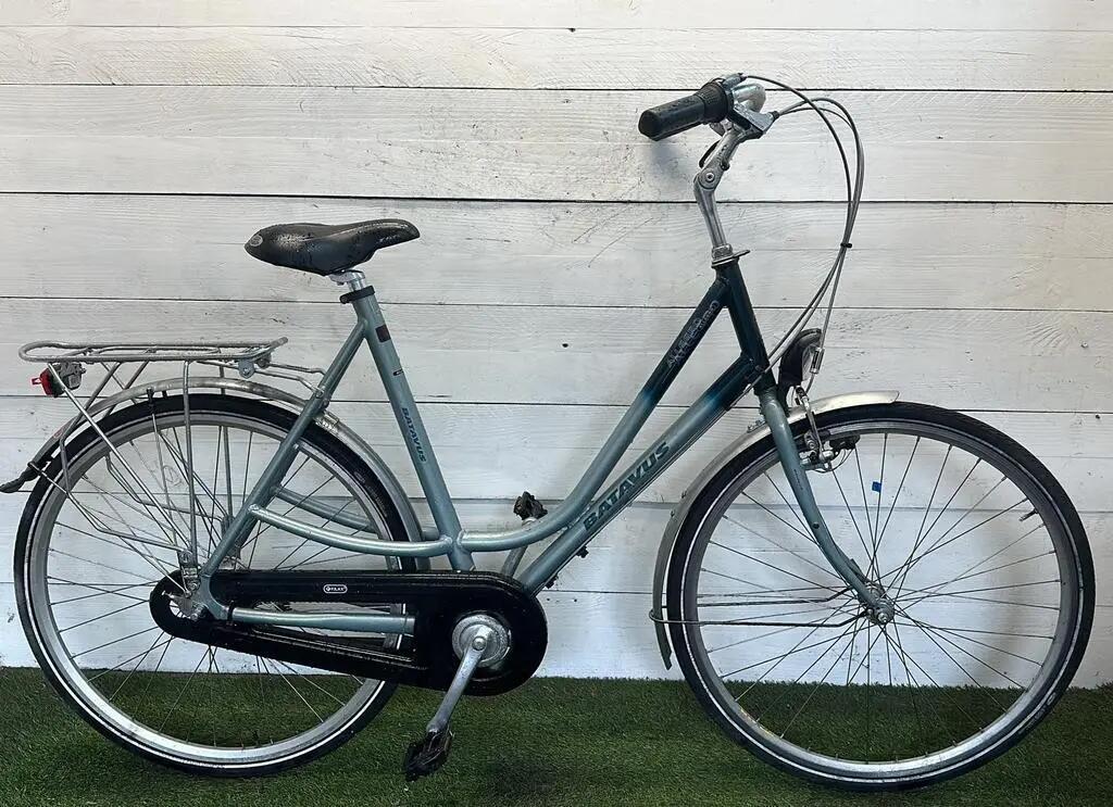 BATAVUS picture