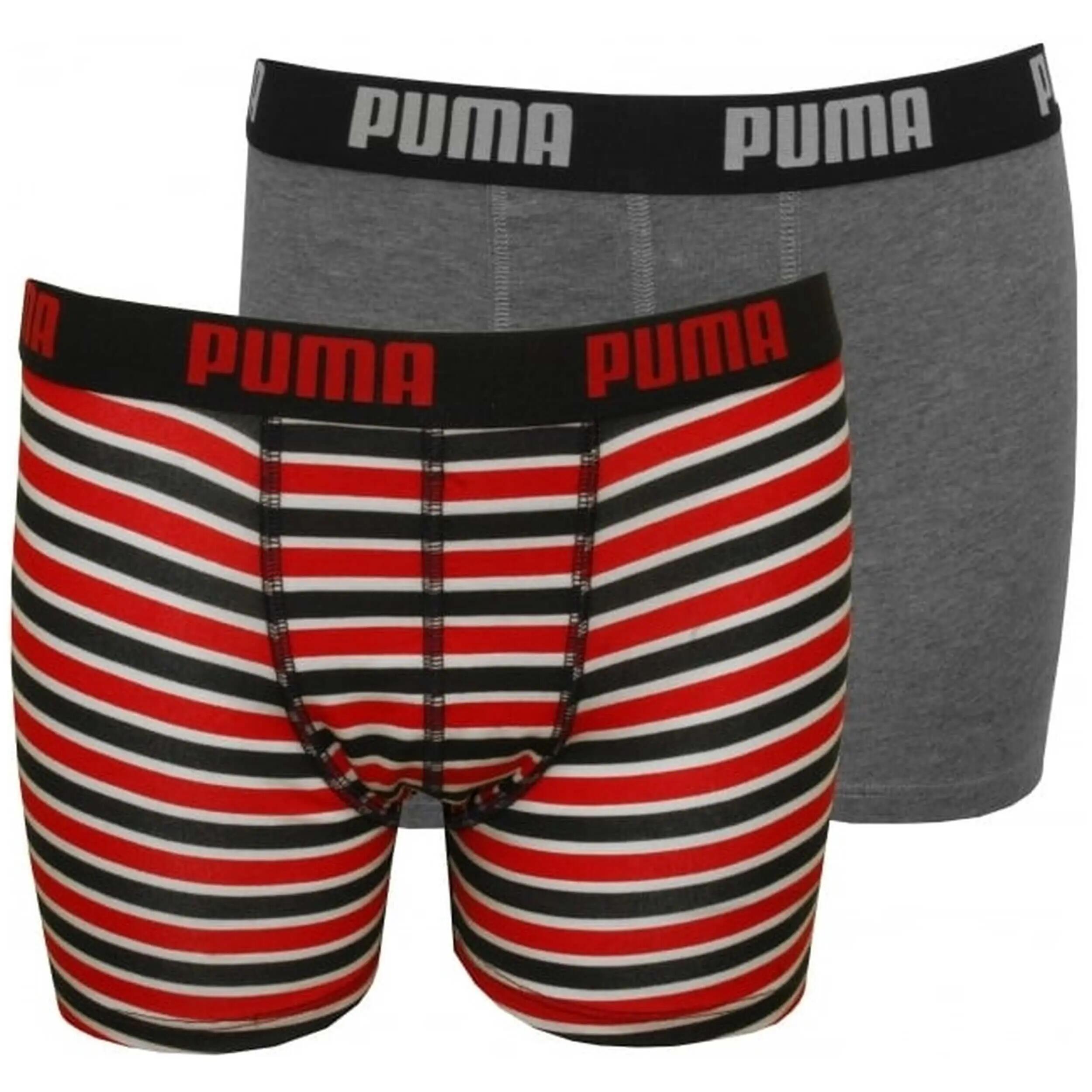 PUMA picture