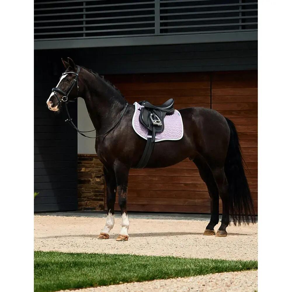 Tapis de selle pour cheval Weatherbeeta Elite Air-Tec 5/5