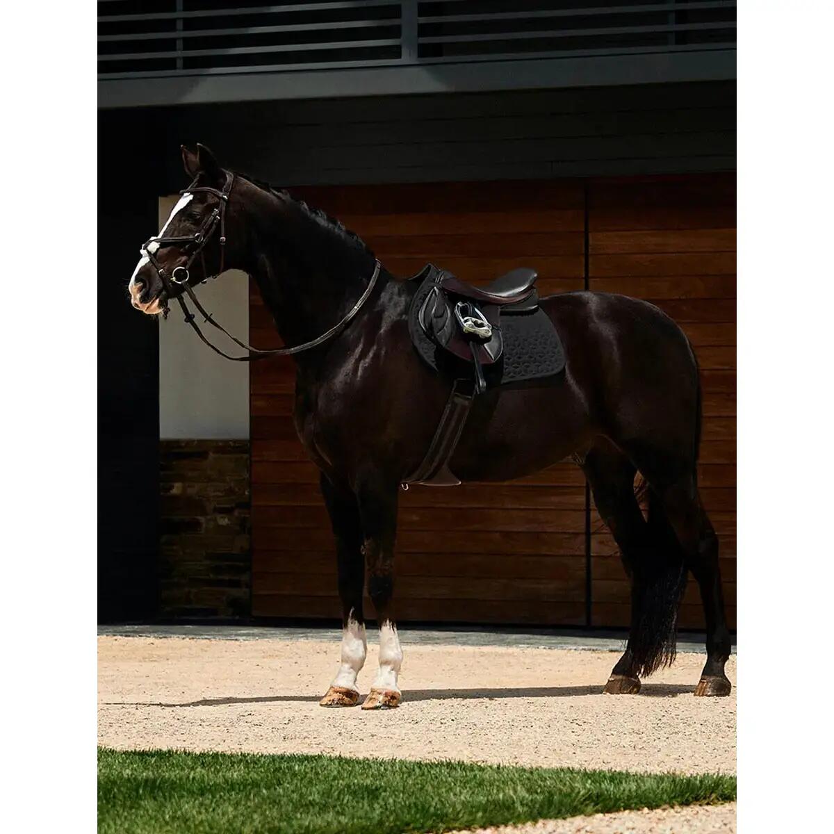 Tapis de CSO Weatherbeeta Elite Air-Tec 5/5