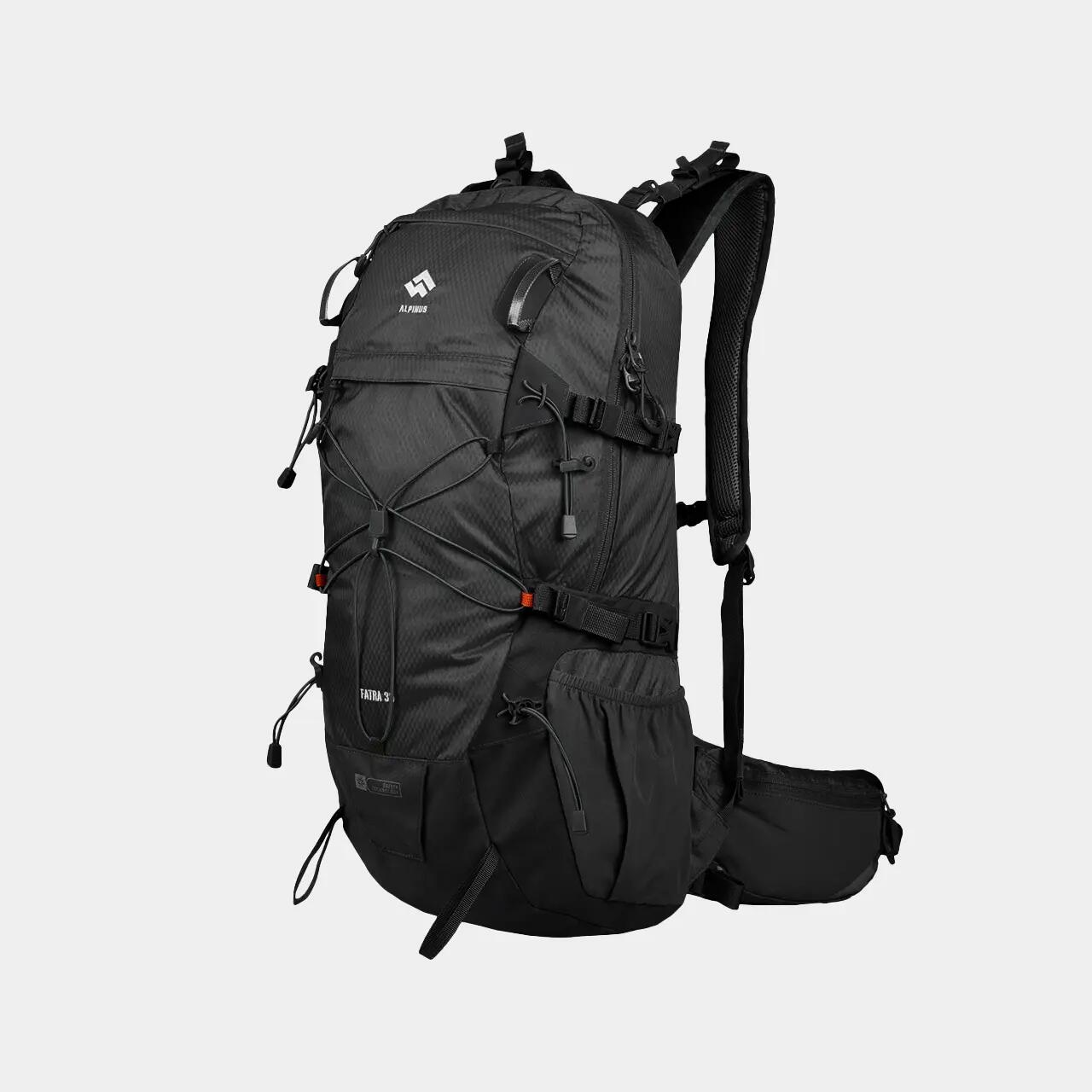 ALPINUS picture