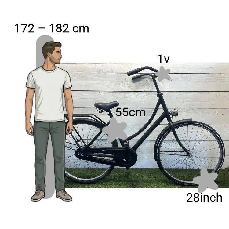Bicicletta usata Popal 2/4