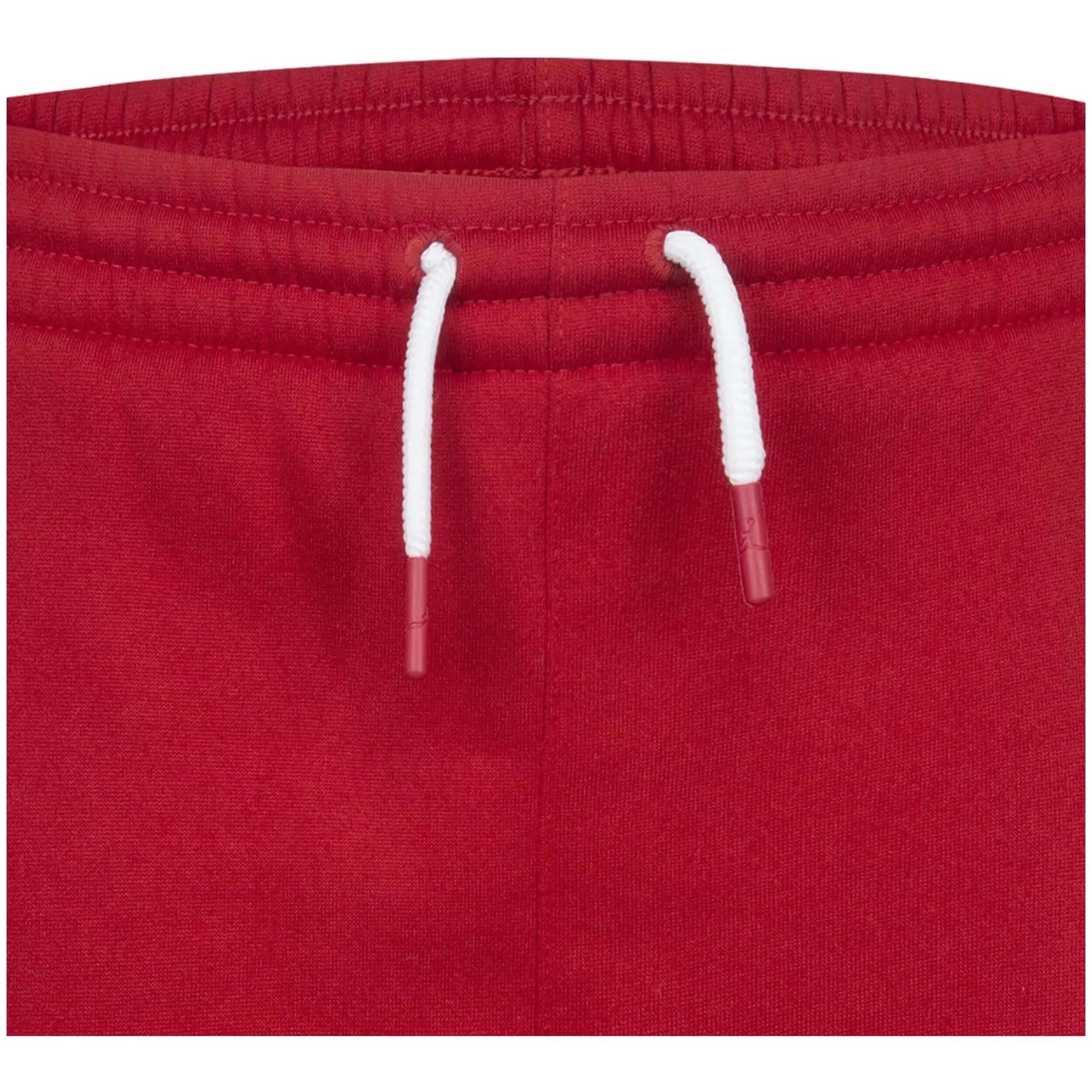 Short Jordan modèle 95B911-R78 pour homme 5/5