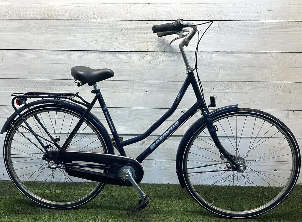 BATAVUS picture