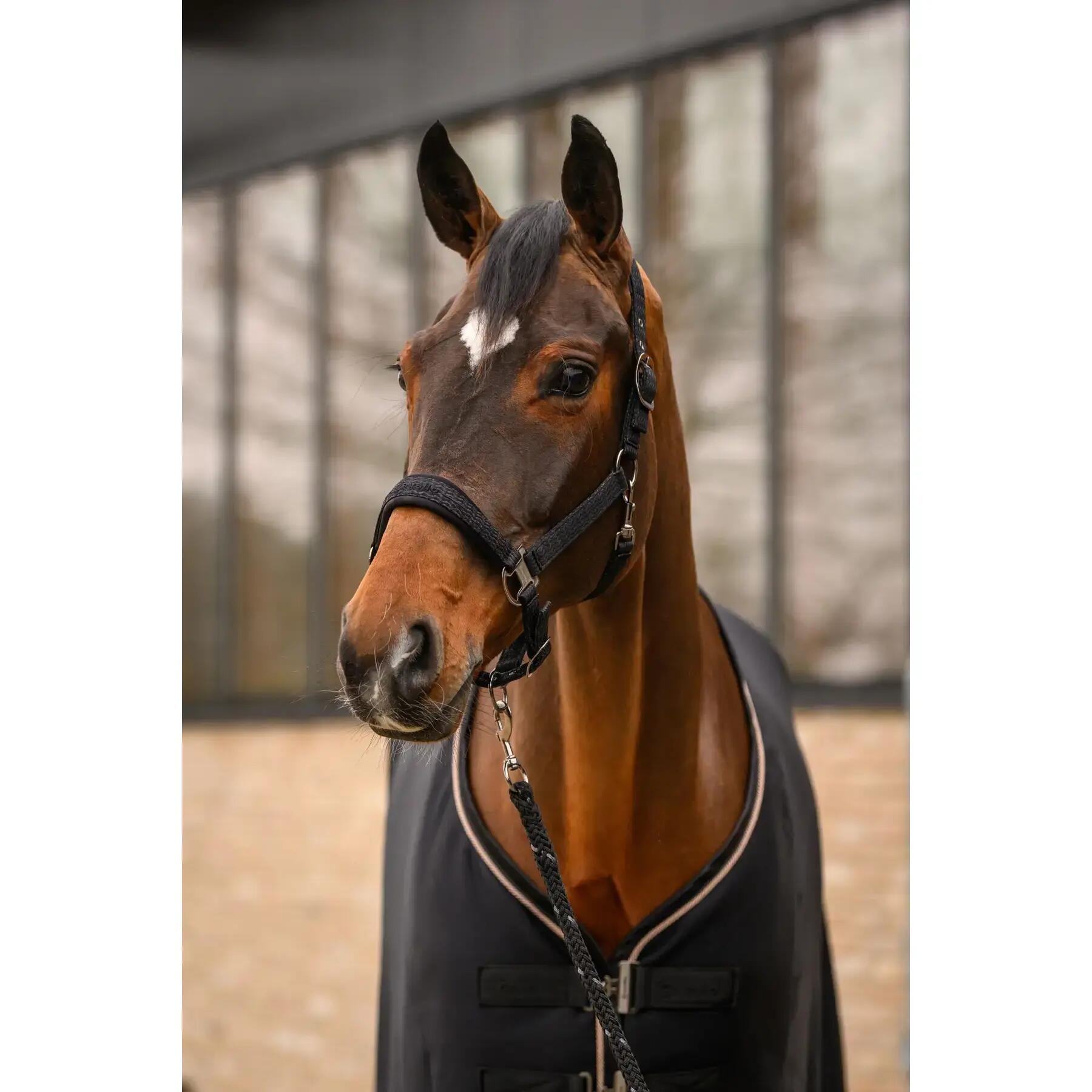 Cavezza Cavallo Rose 3/4