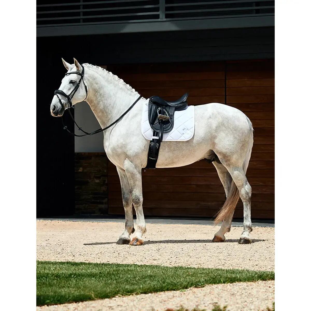 Tapis de dressage pour cheval Weatherbeeta Pro 3D Air-Tec 5/5