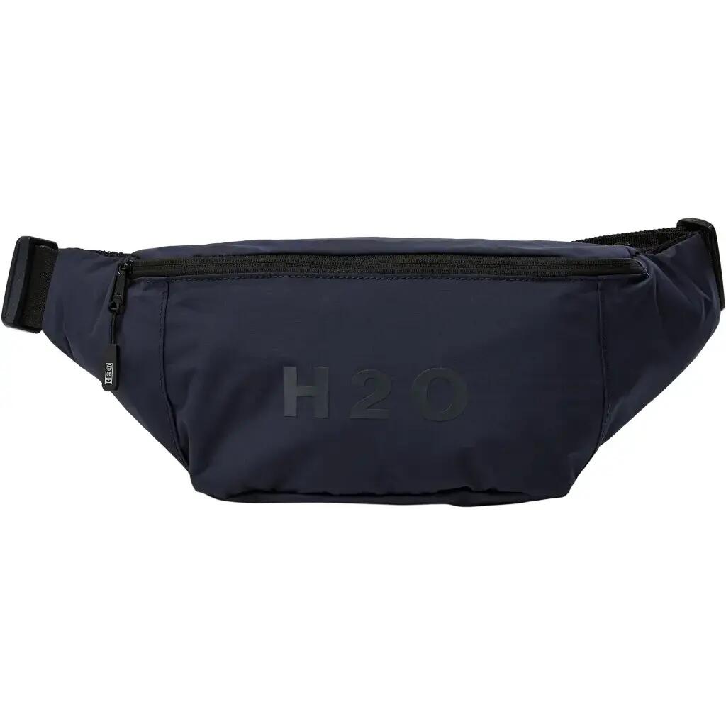 H2O picture