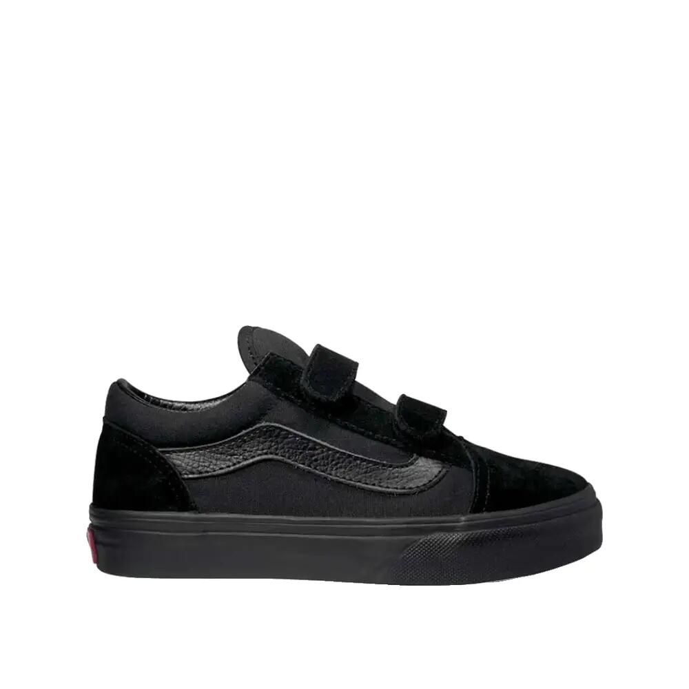 VANS picture