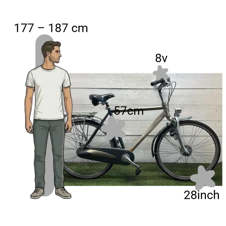 Tweedehands Batavus Staccato 2/4