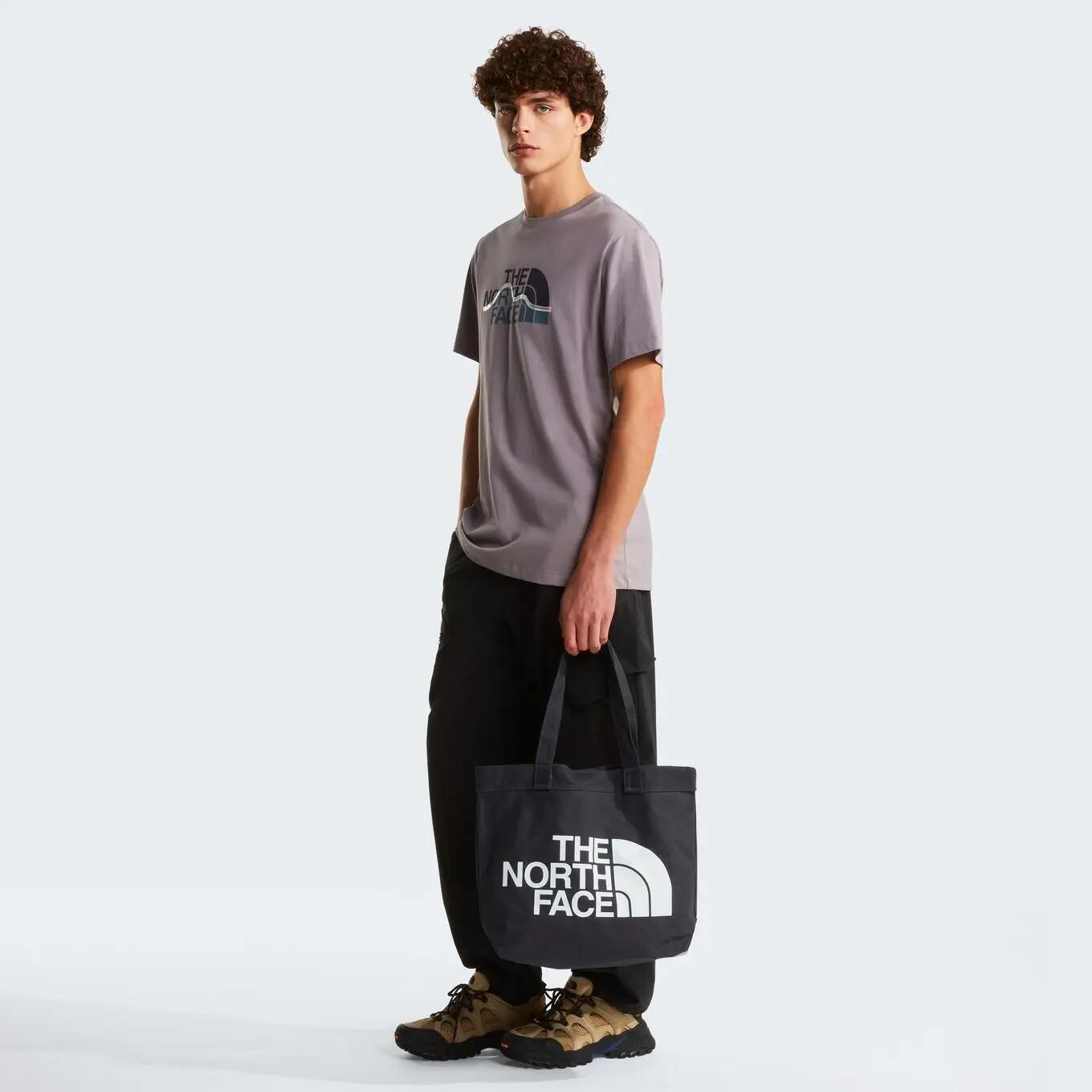 T-Shirt The North Face Mountain Logo Graphic Gris Homme 4/6