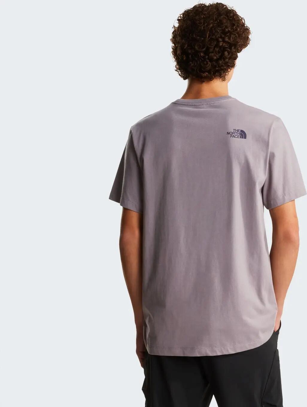 T-Shirt The North Face Mountain Logo Graphic Gris Homme 2/6