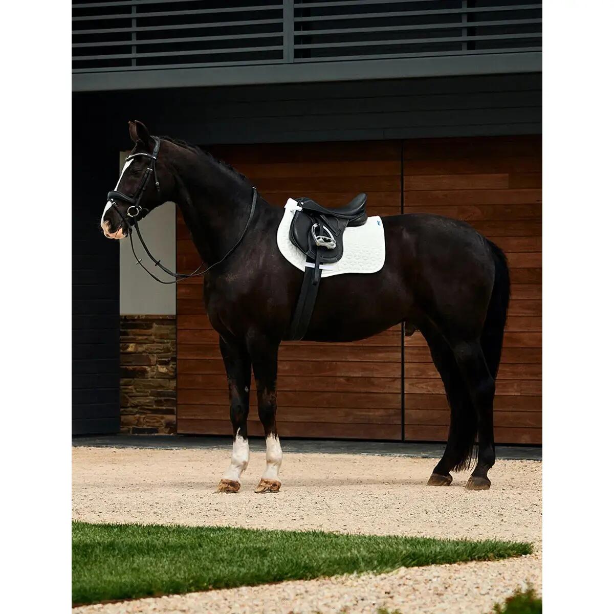 Tapis de selle pour cheval Weatherbeeta Elite Air-Tec 5/5