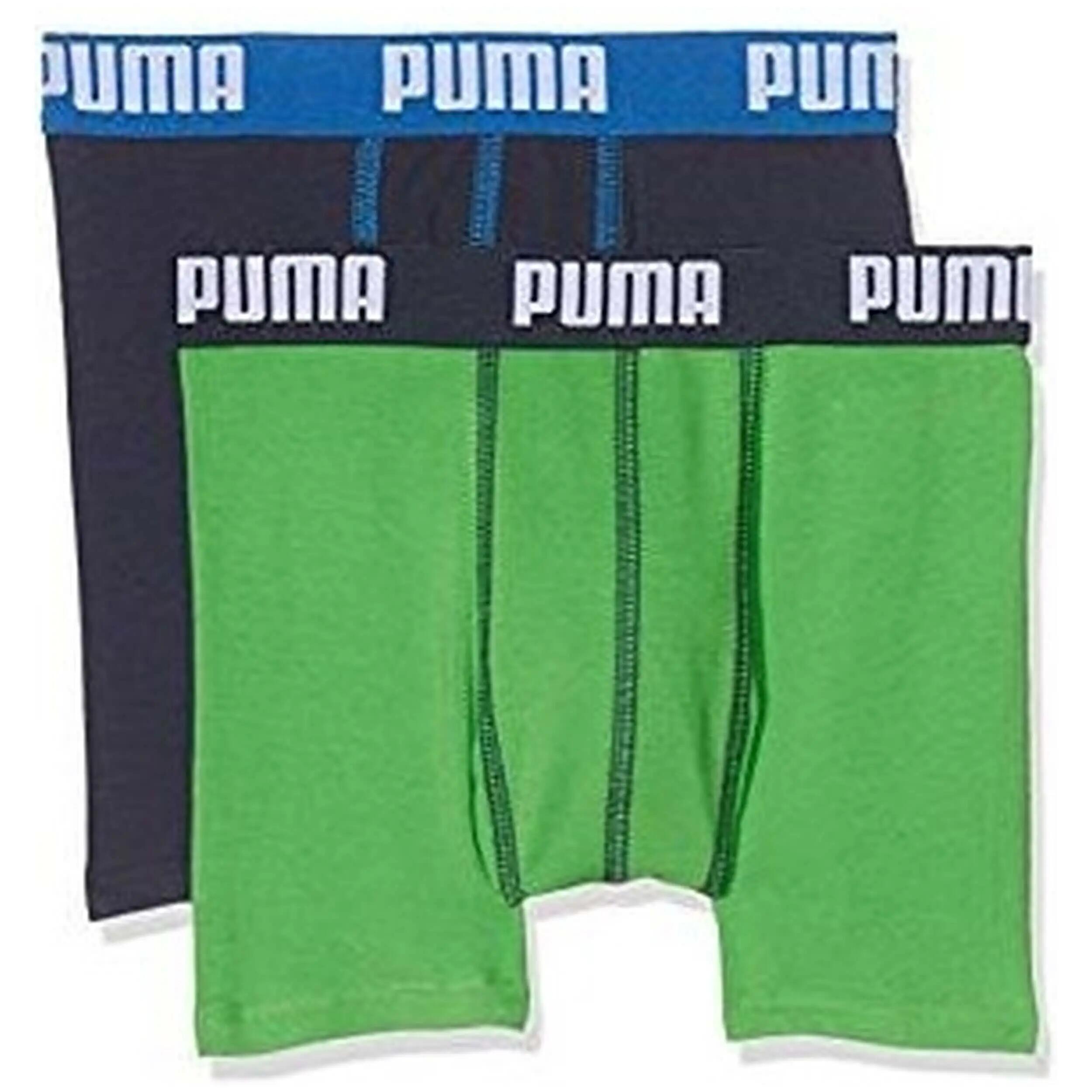 PUMA picture