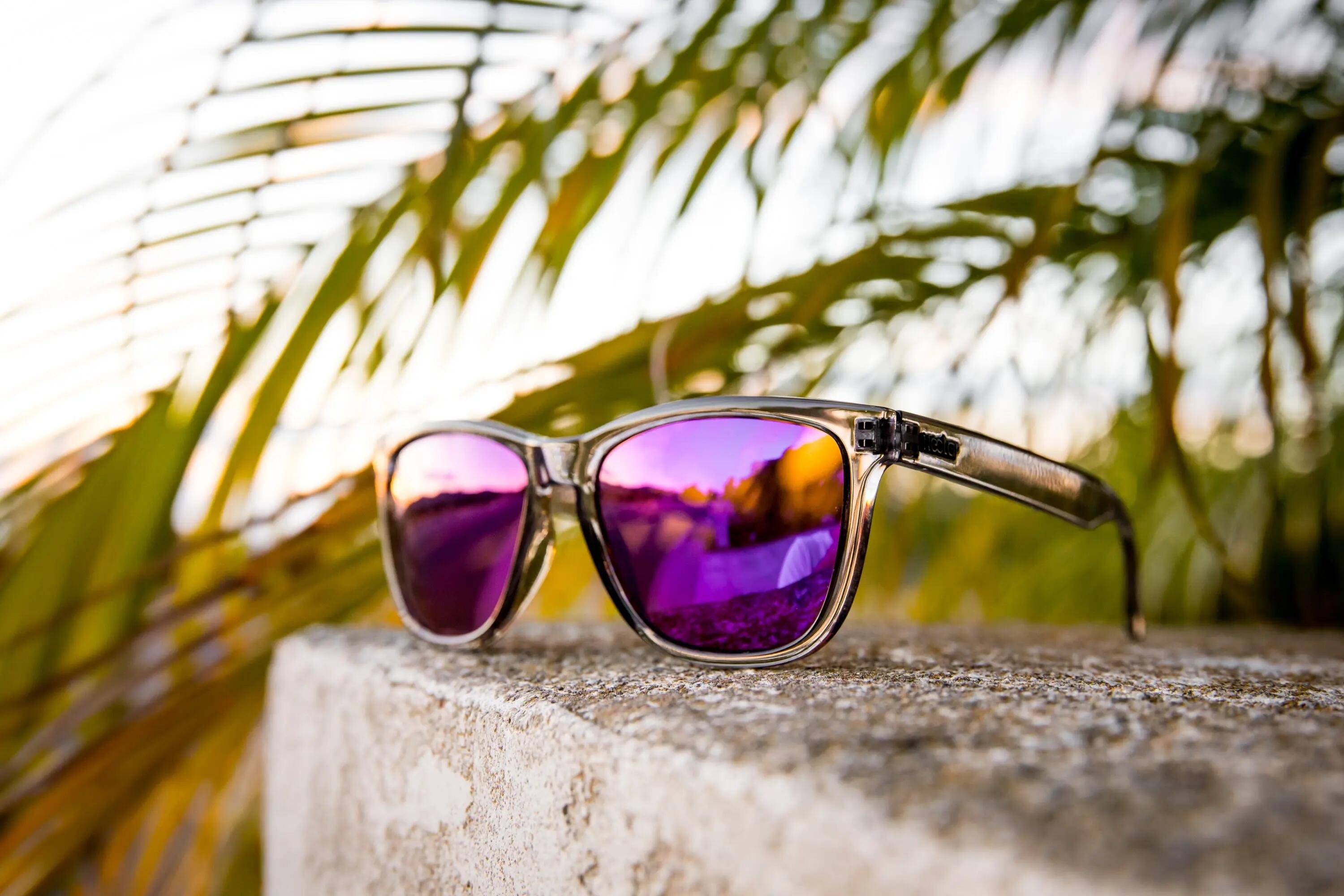 Unisex Sonnenbrille Crux Chucktown (Trans Grey | Purple) 5/5