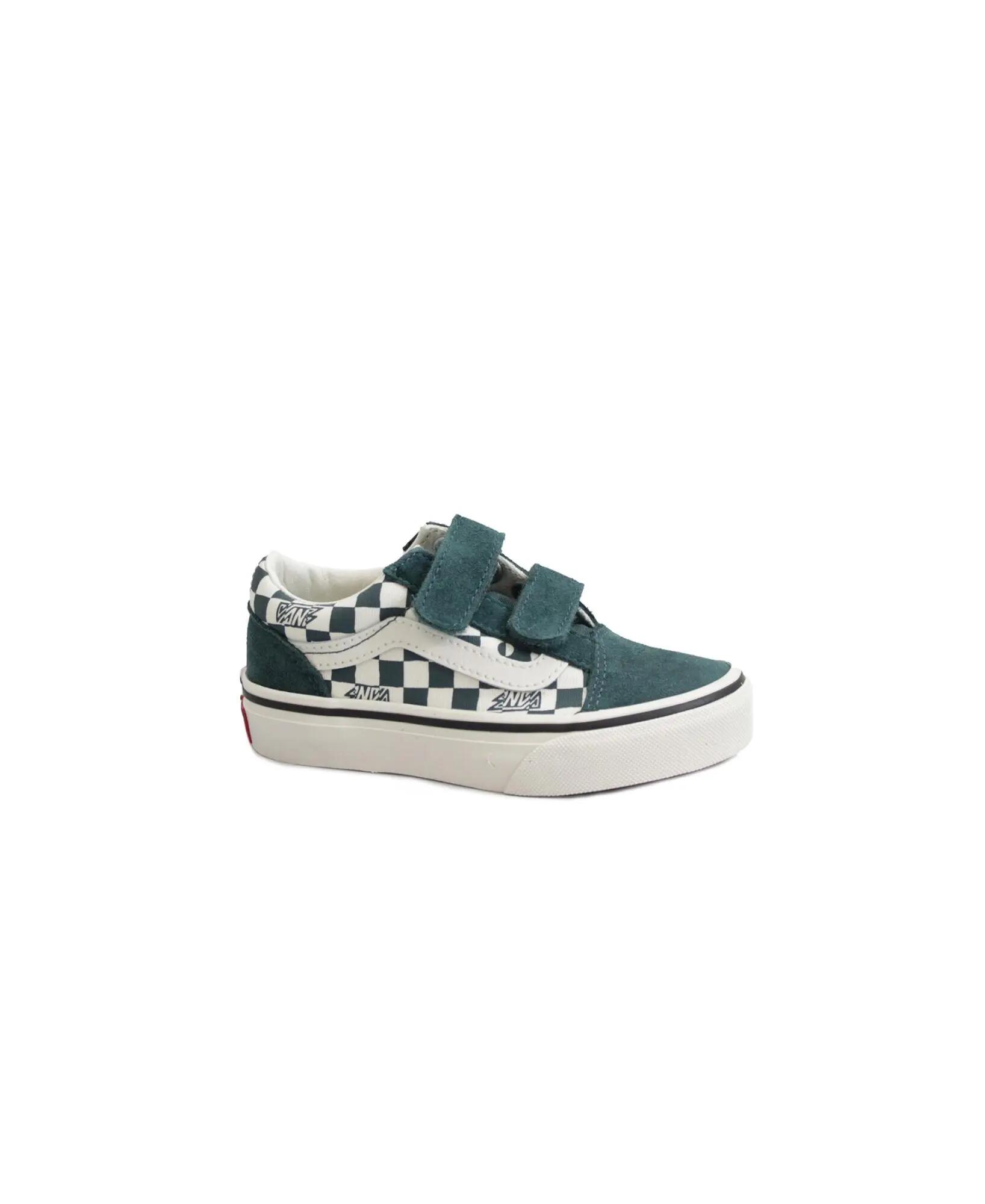 VANS picture