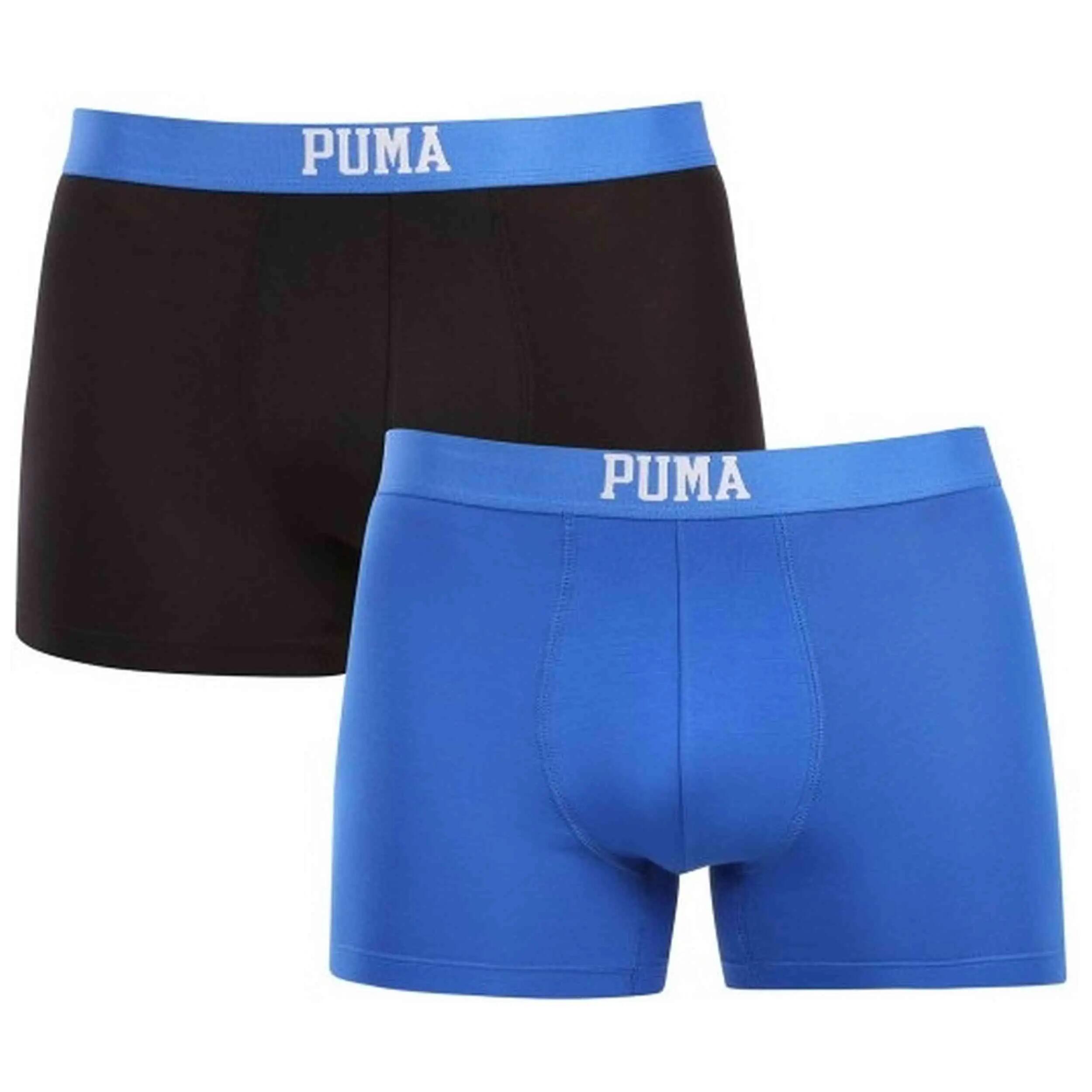 PUMA picture