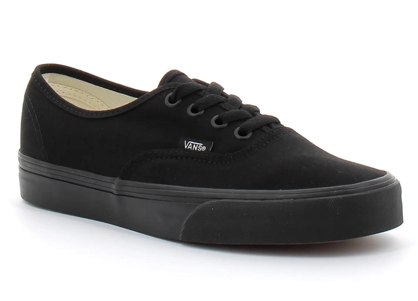 VANS picture