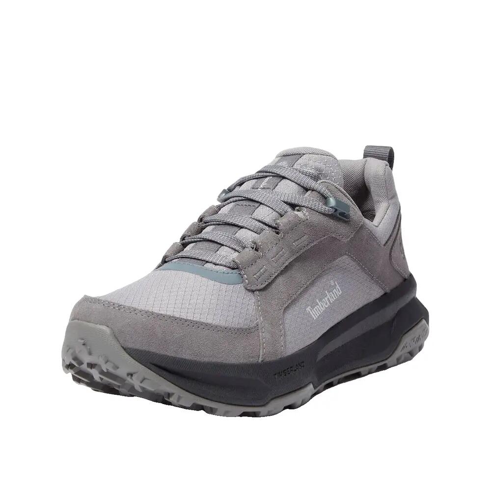 Wandelschoenen Timberland Motion Ledge Leer Grijs 5/9