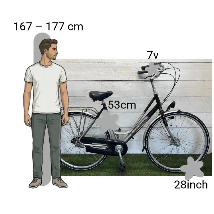 Vélo d’occasion Koga Miyata 2/4