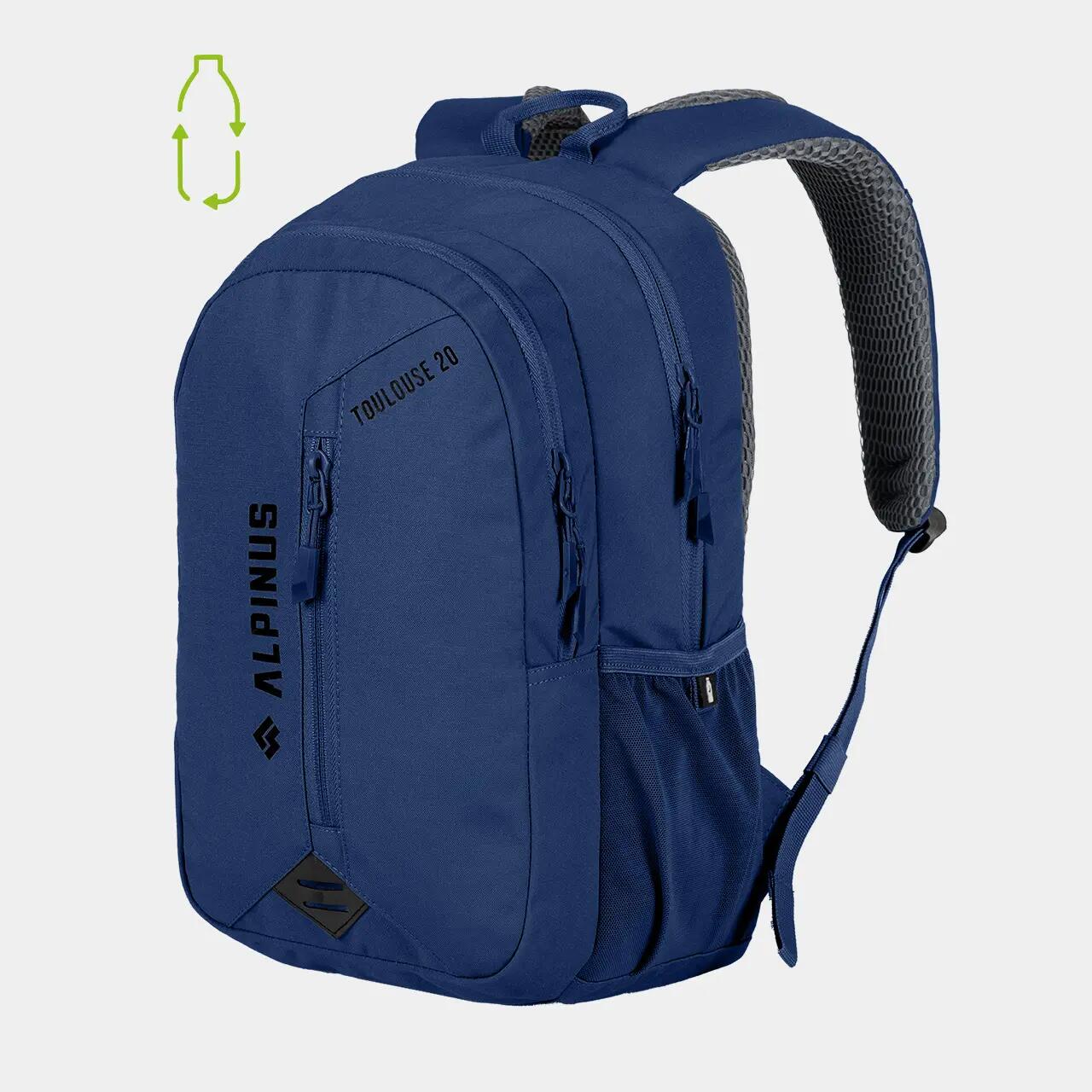 ALPINUS picture