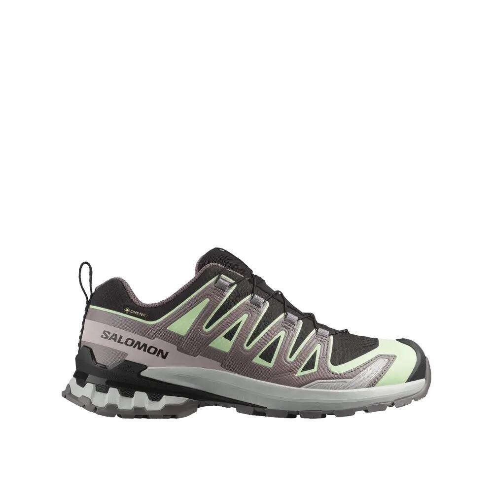 SALOMON picture