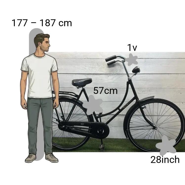 Vélo d’occasion BSP Basic 2/4