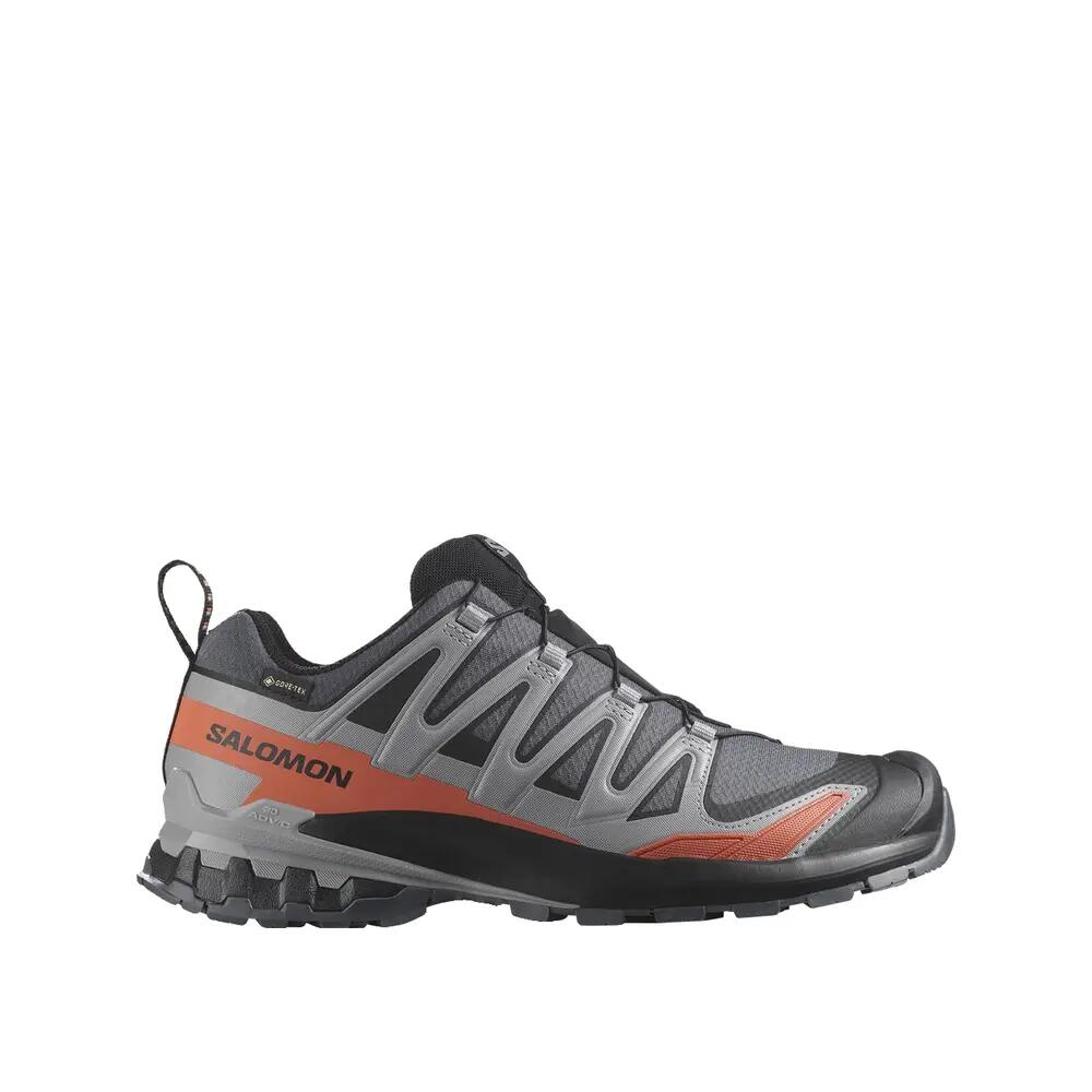 SALOMON picture