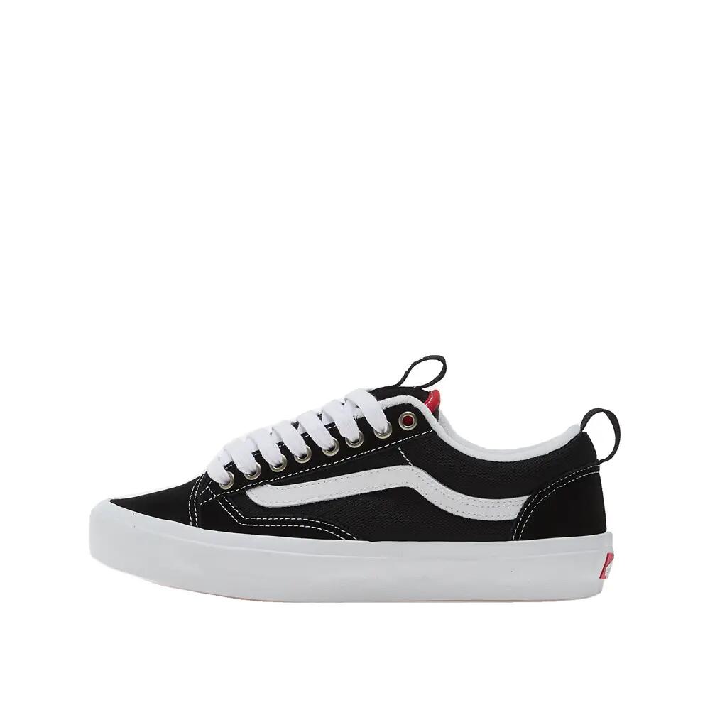 VANS picture