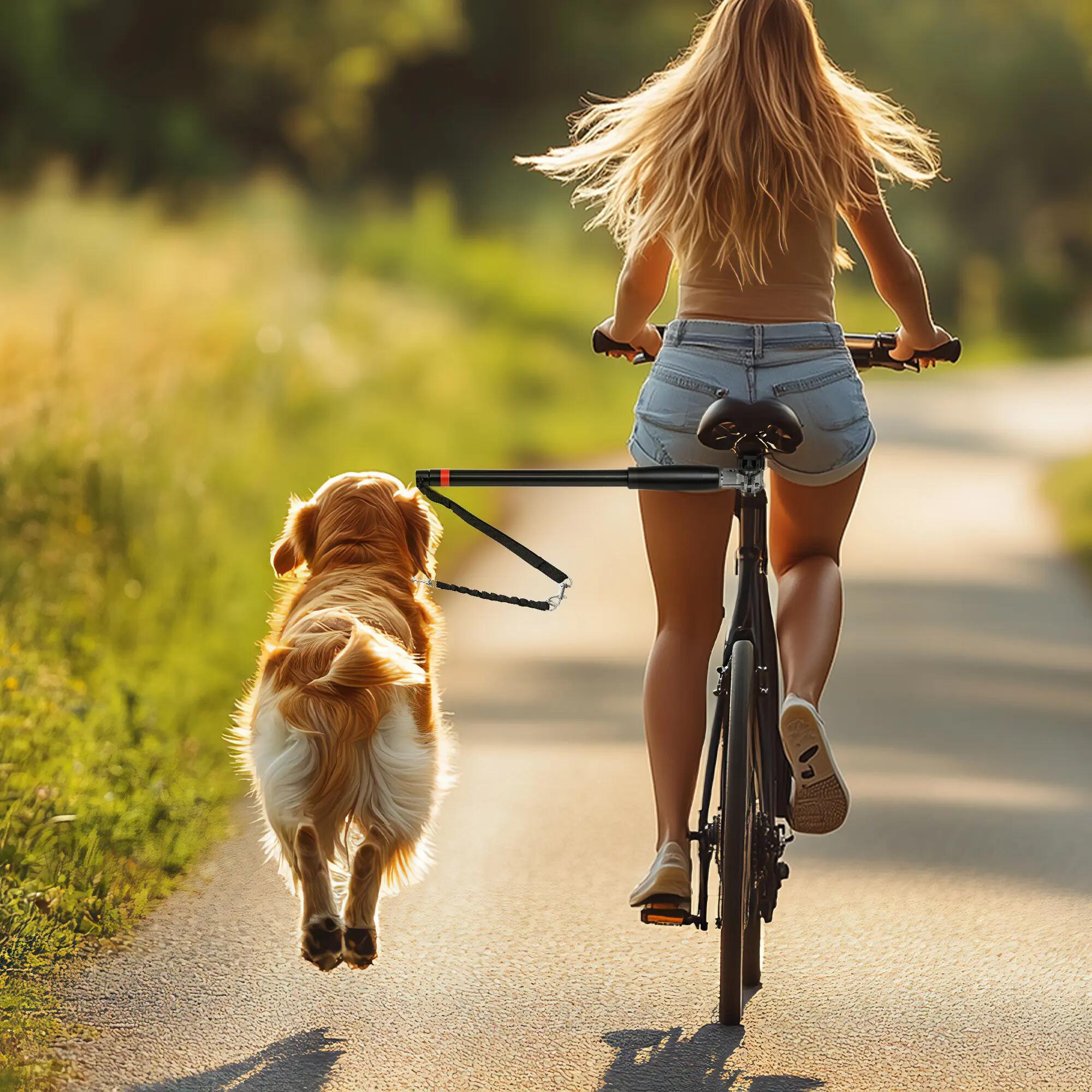 Laisse pour chien pour vélo 124 cm acier et polyester noir 2/5