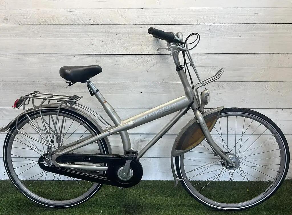 BATAVUS picture