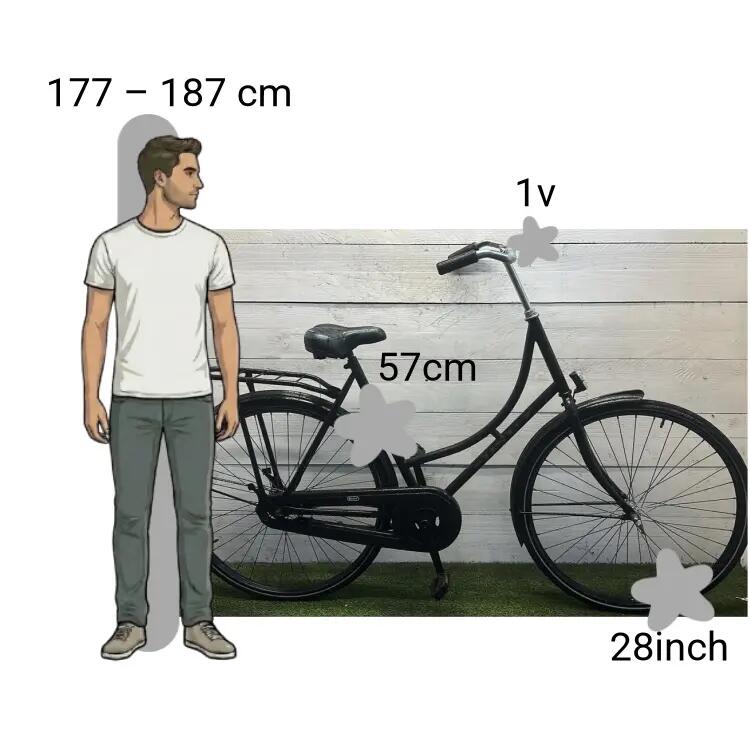Vélo d’occasion BSP Royal Class 2/4