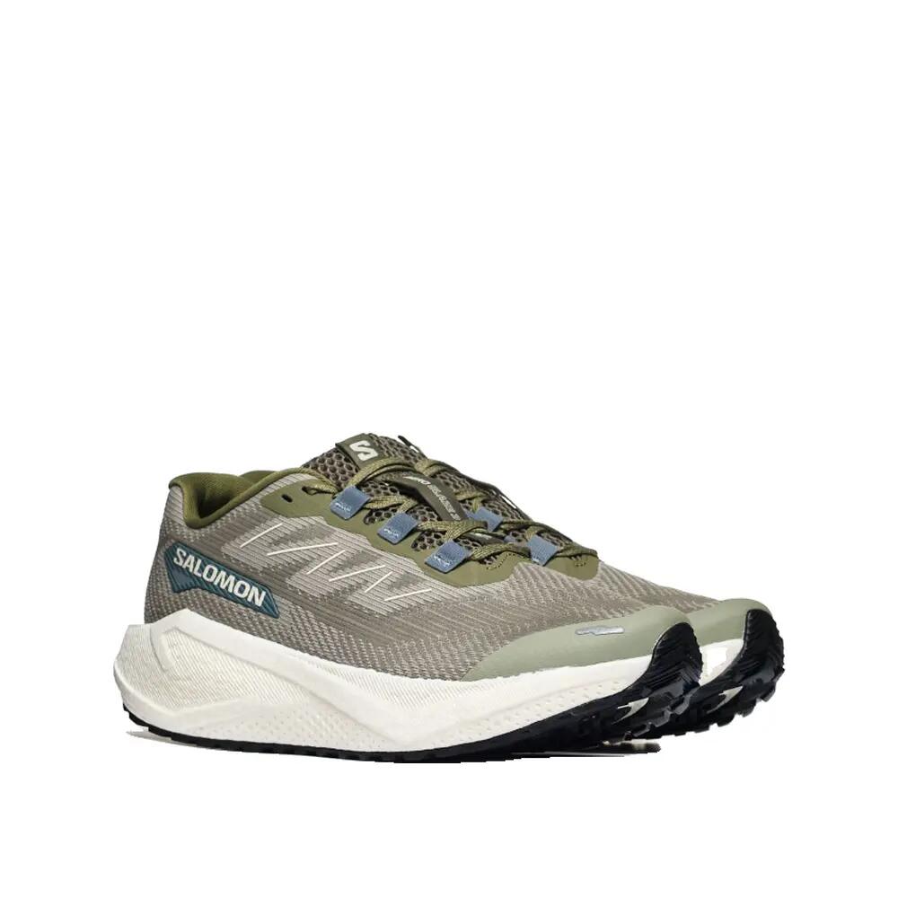 Zapatillas de trail Salomon Aero Blaze 3 Gravel Beige/Gris 1/6