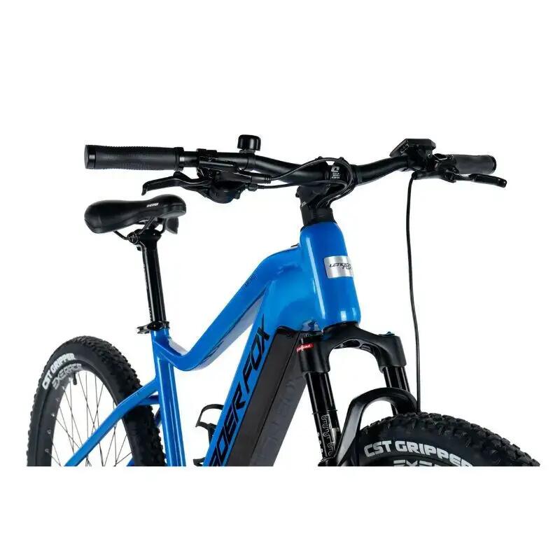 Elektrofahrrad Leader Fox Arimo 2024 2/7