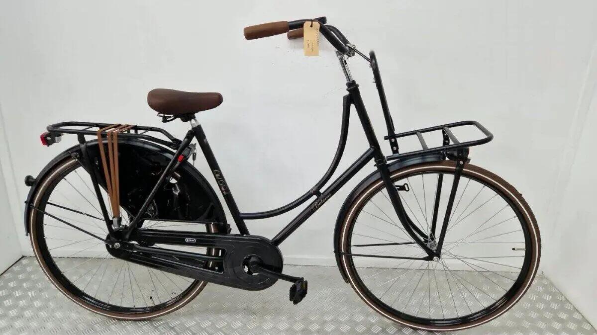 BATAVUS picture