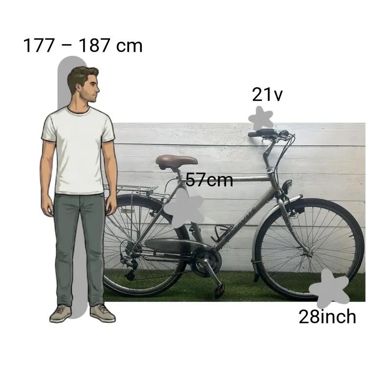 Vélo d’occasion Batavus Cheyenne 2/4