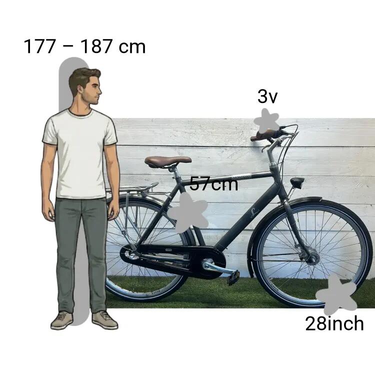 Vélo d’occasion Montego Legend 2/4