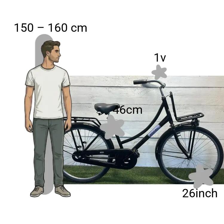 Vélo d’occasion Popal Transportfiets 2/4