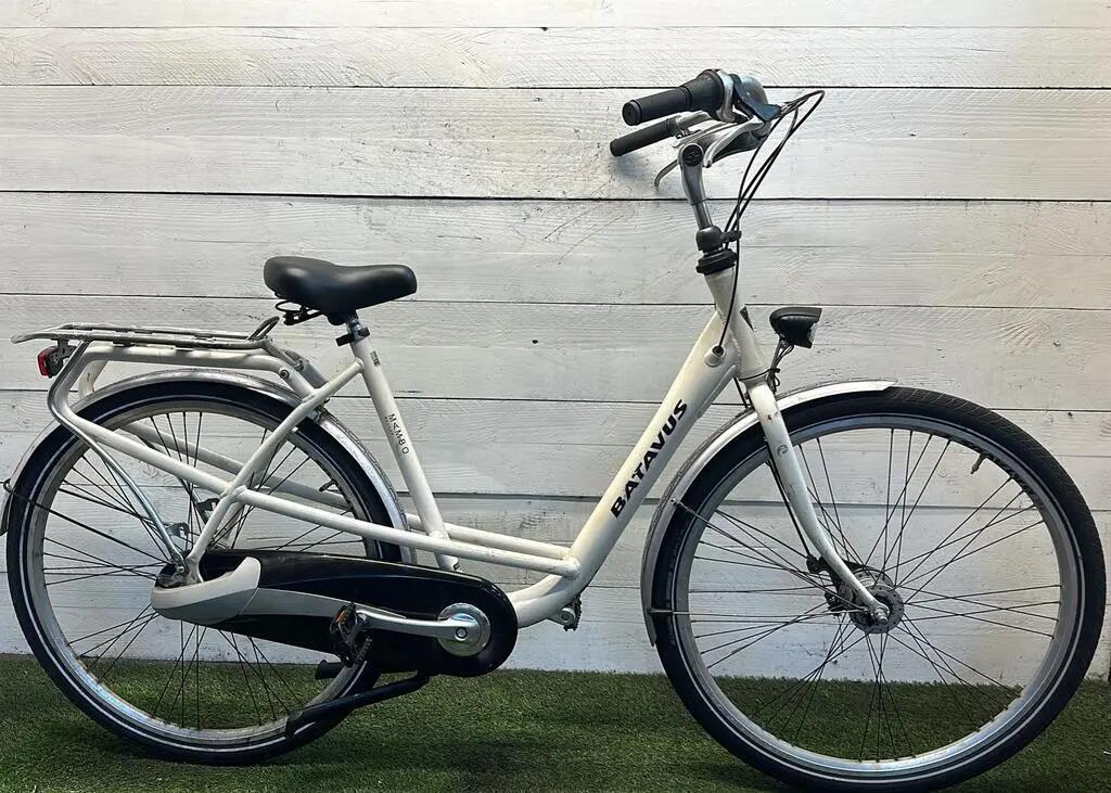 BATAVUS picture