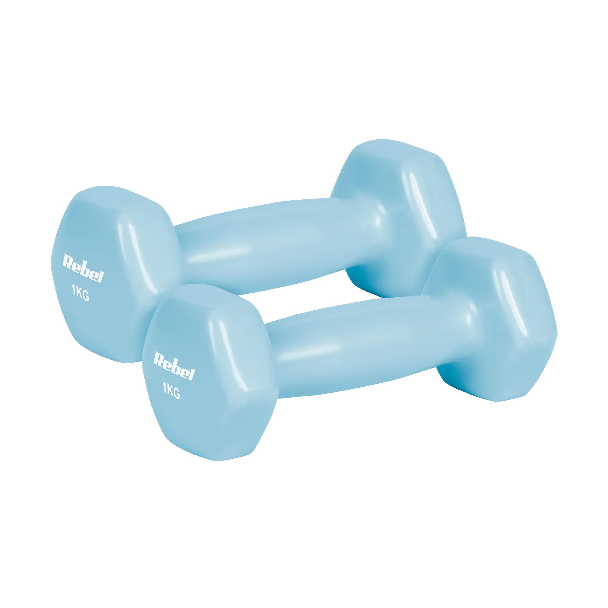 Hantelki żeliwne winylowe HEX 2 x 1 kg Rebel 1/6