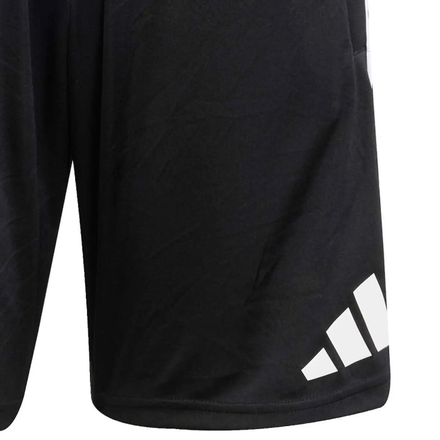 Short de présentation Staff Homme 25-26 3/3