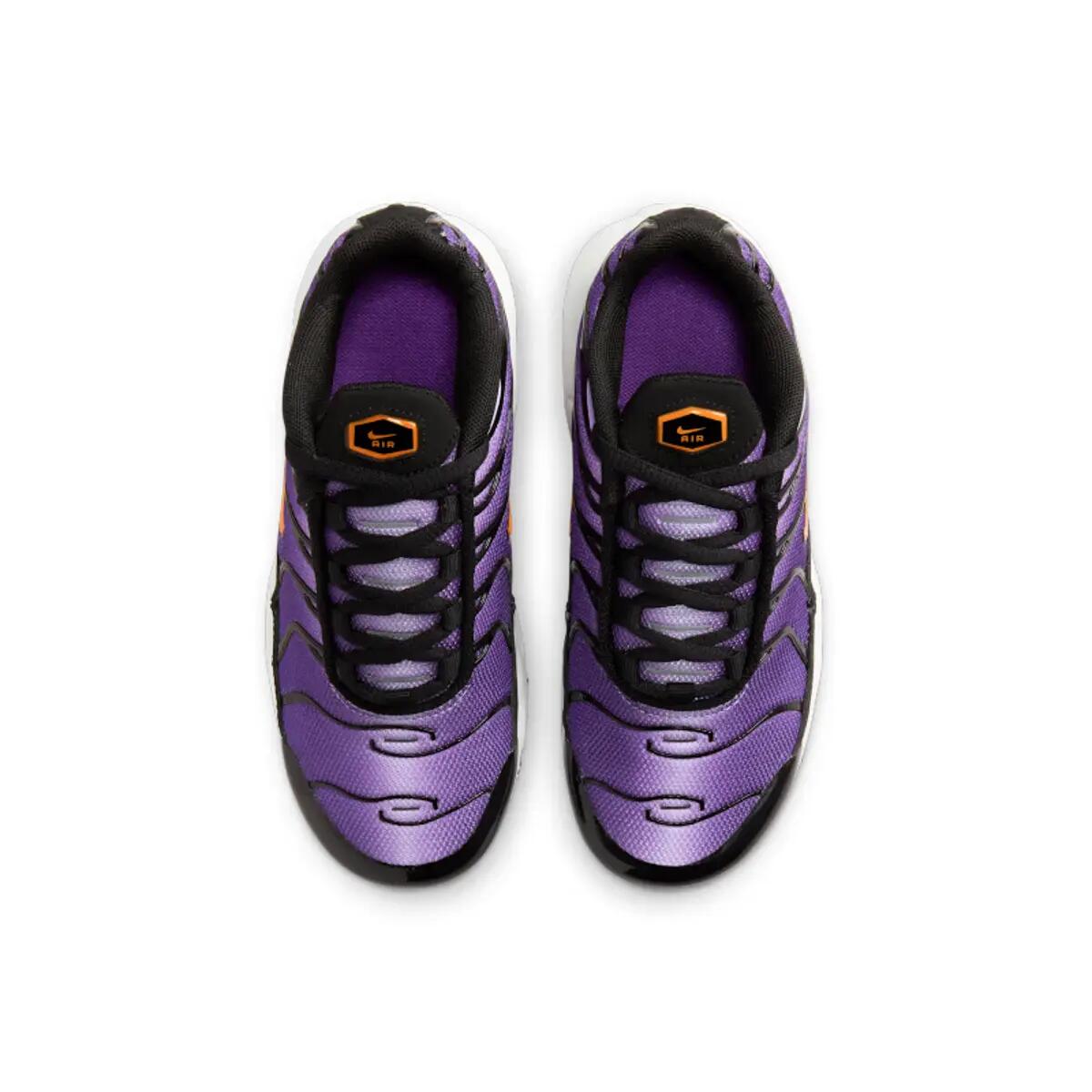Nike Air Max Plus Og Voltage Purple 2024 (PS) 5/6