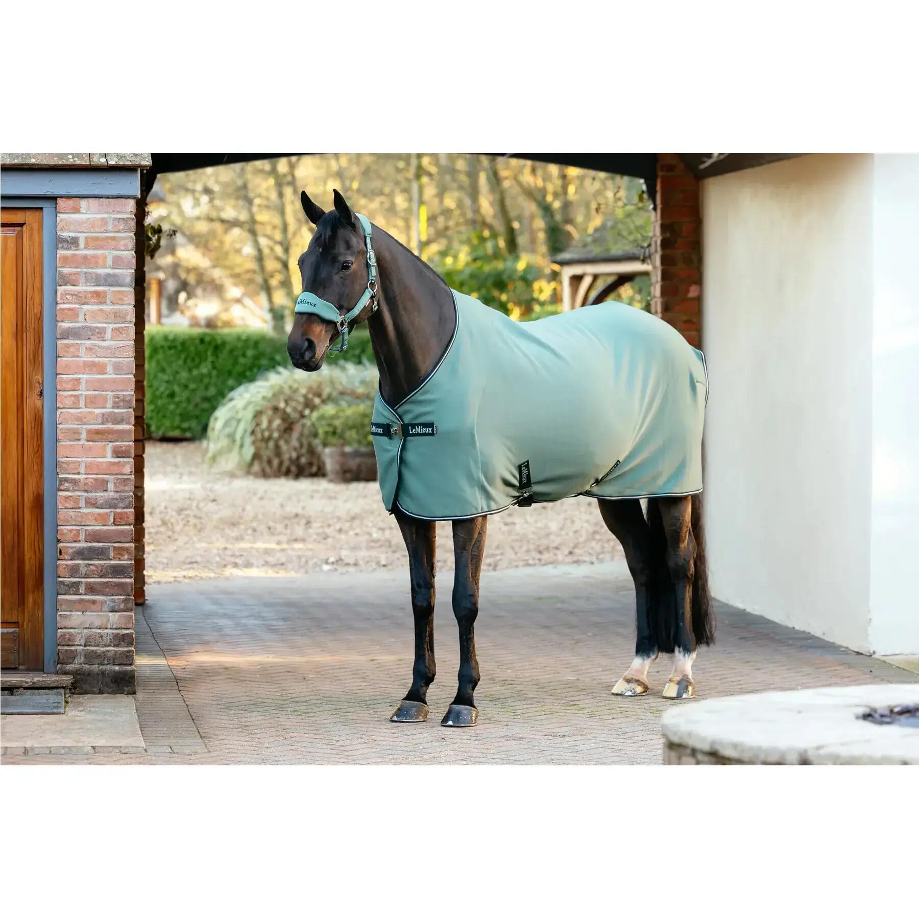 Drogende fleecedeken voor paarden LeMieux Arika Tek 1/1
