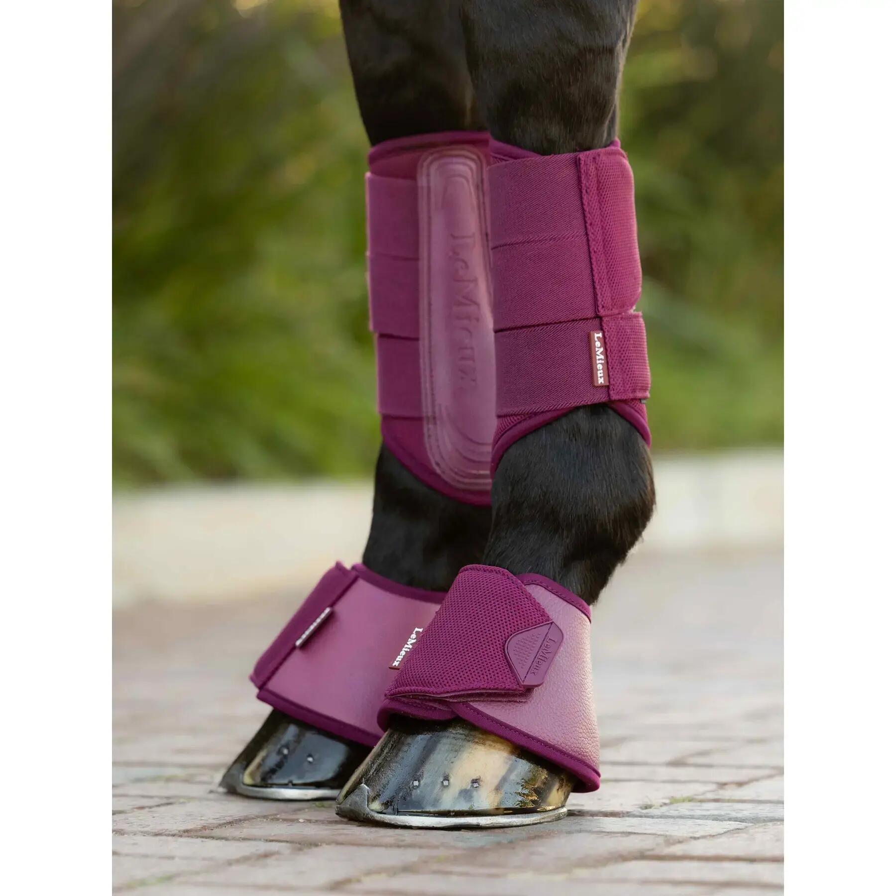 Hufglocken LeMieux Arika 2/2