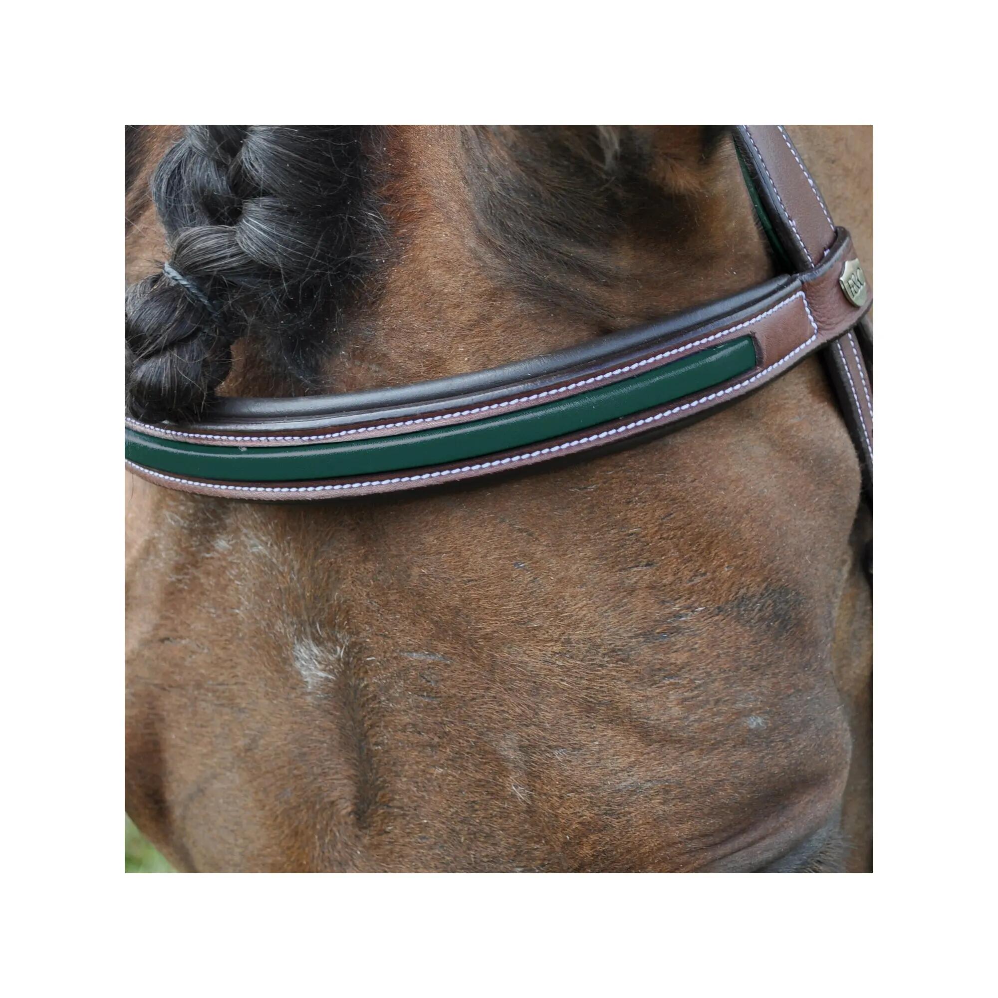Collare da caccia per cavalli Flags&Cup Paris 4/4