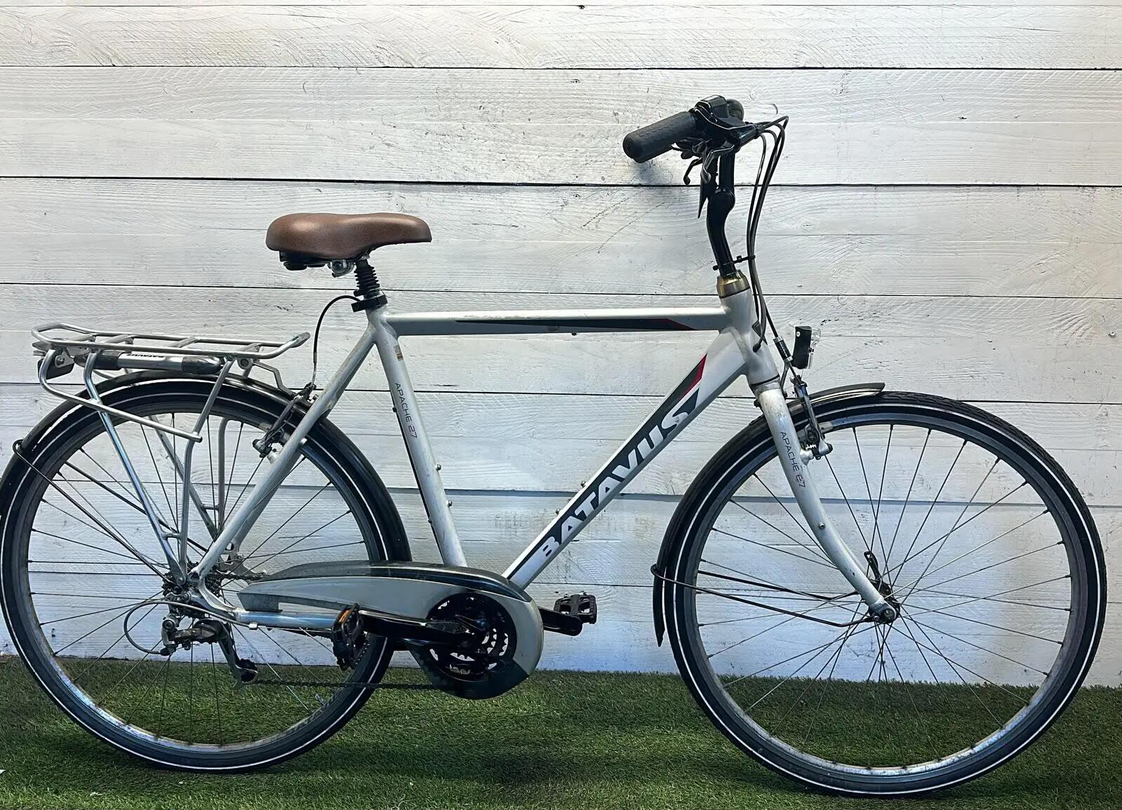 BATAVUS picture