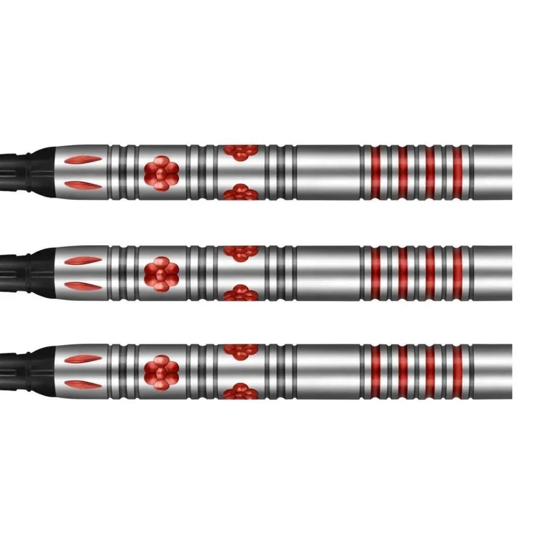 Šipky Pro Series - Barbora Hospodárská - 20g 4/5