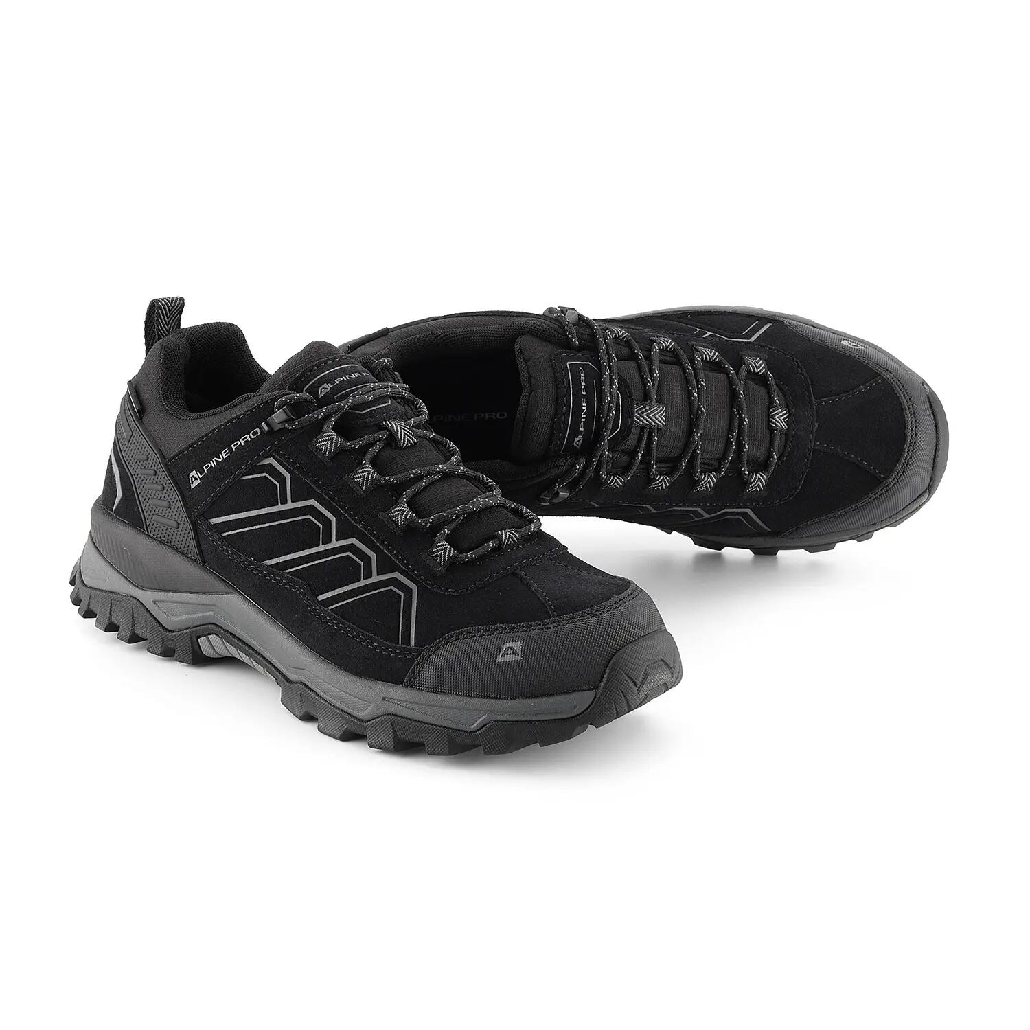ALPINE PRO picture