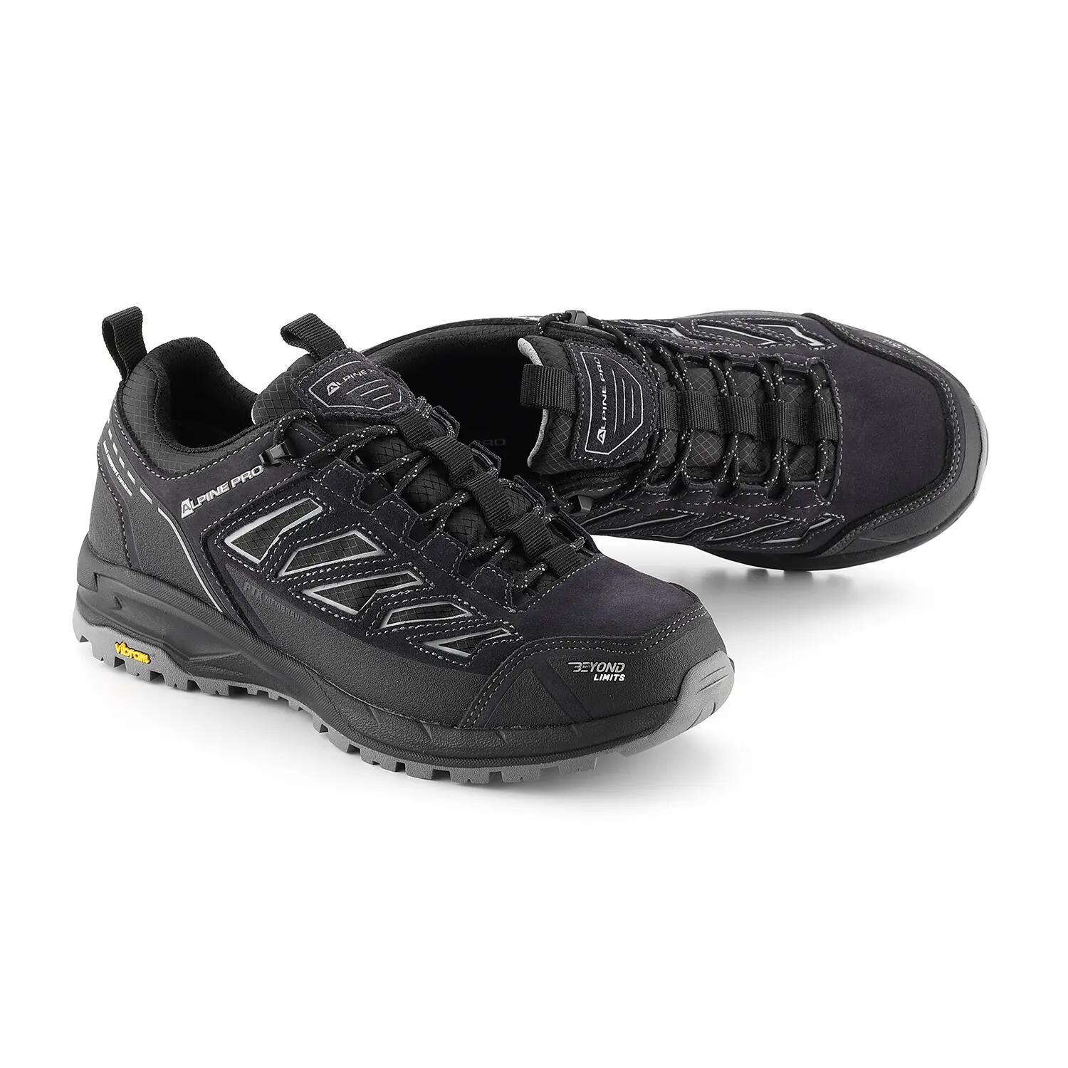 ALPINE PRO picture