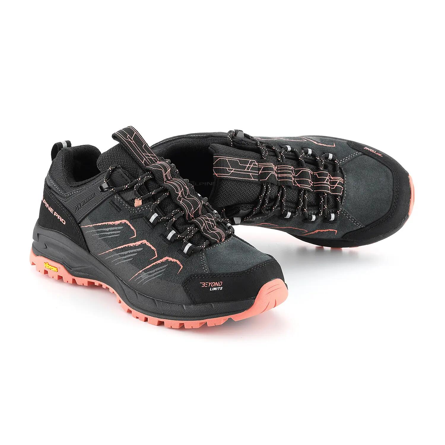 ALPINE PRO picture
