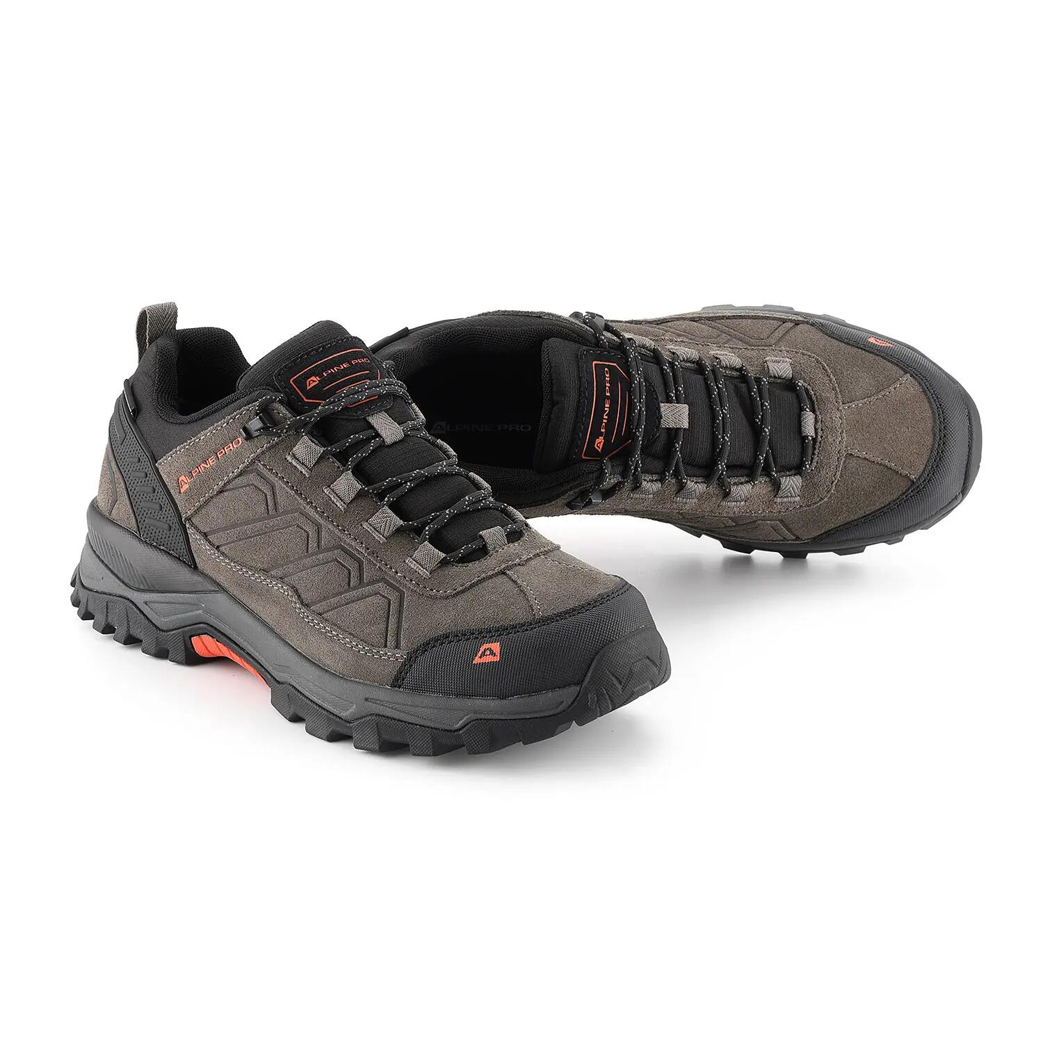 ALPINE PRO picture